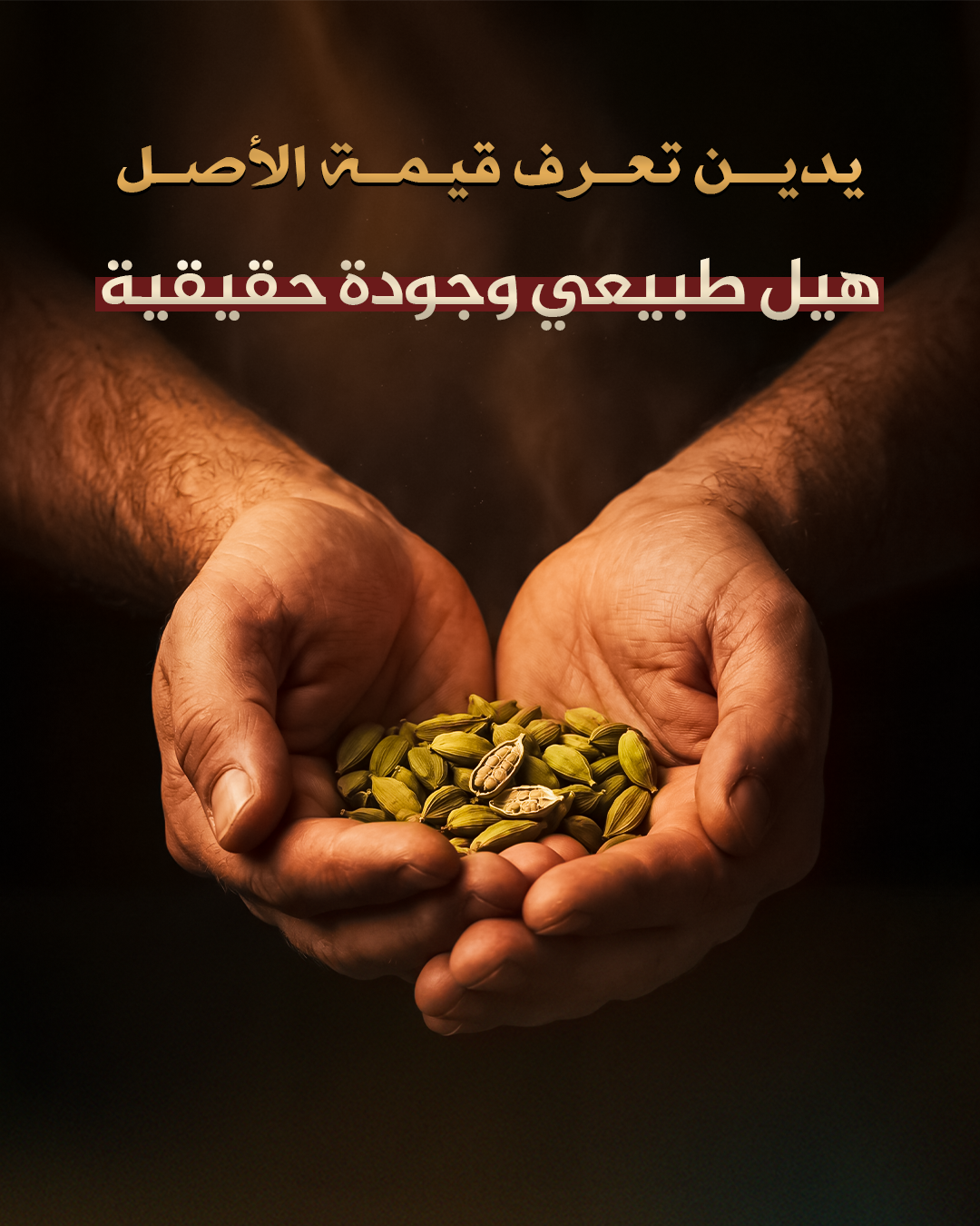 Mahmood Tea — Artboard 3